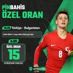 pin-ozel-oran-sm-tg.jpg