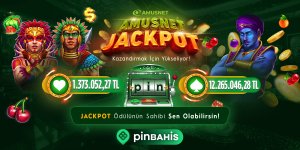 pin-amusnetjp-sm-x (7).jpg